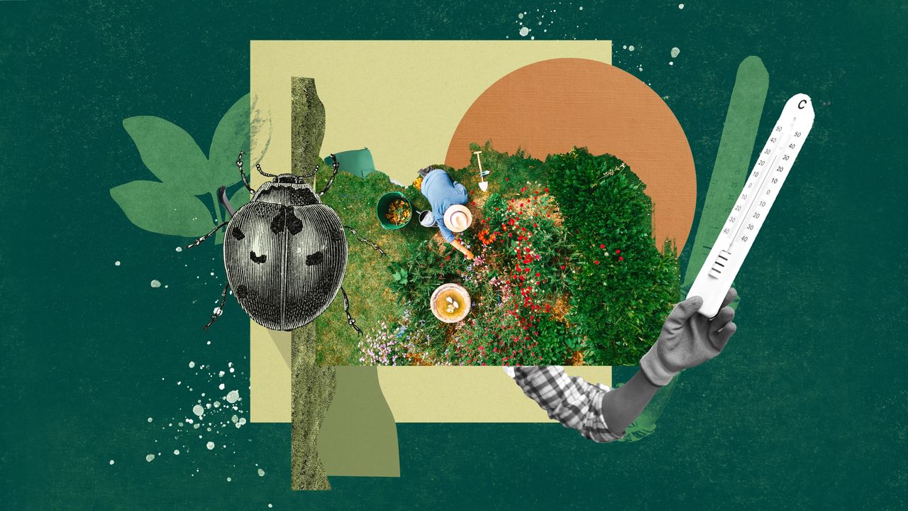 17 Best Gardening Tips for Beginners and Experts Alike