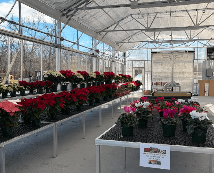 Schmuck Lumber Ace Hardware Opens New Greenhouse Addition, Taking Gardening and Outdoor Projects To The Next Level