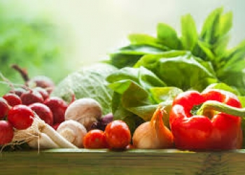 Bartlesville Radio » News » Master Gardener Classes Begin January 27