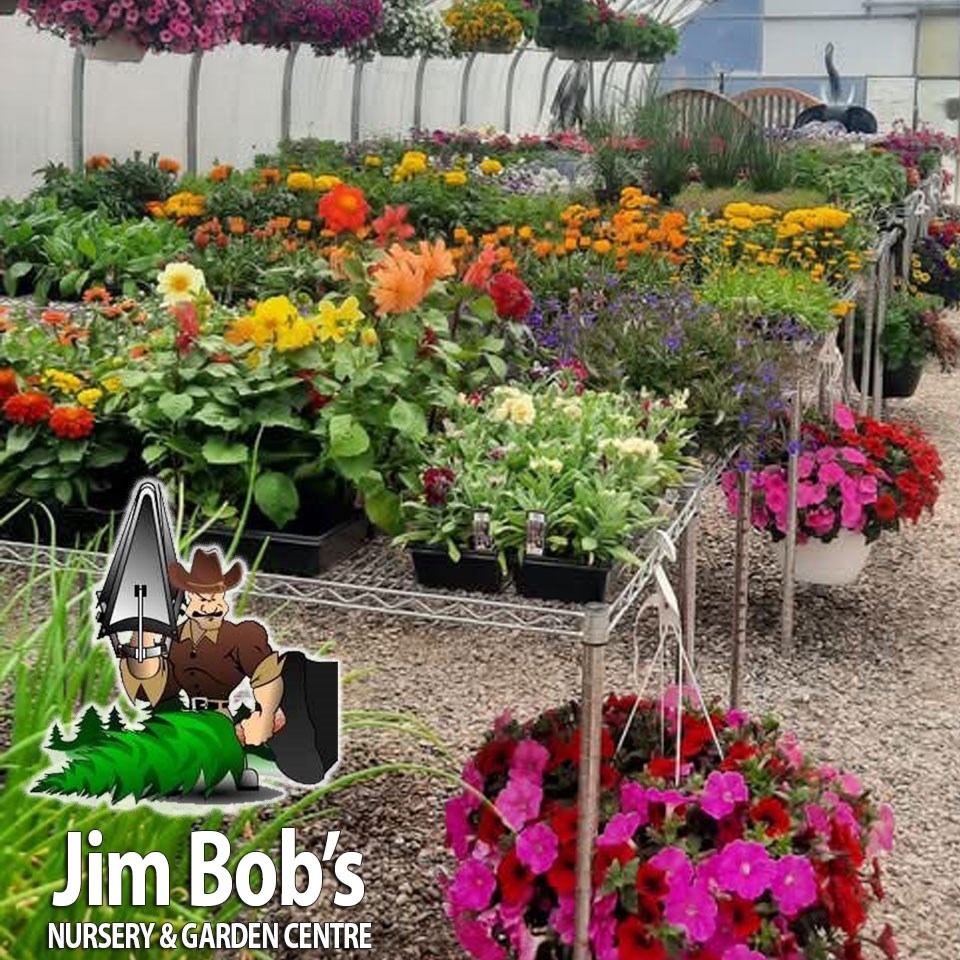 More than a Greenhouse: JimBob’s Nursery & Garden Centre is Another Way to Help the Province Grow