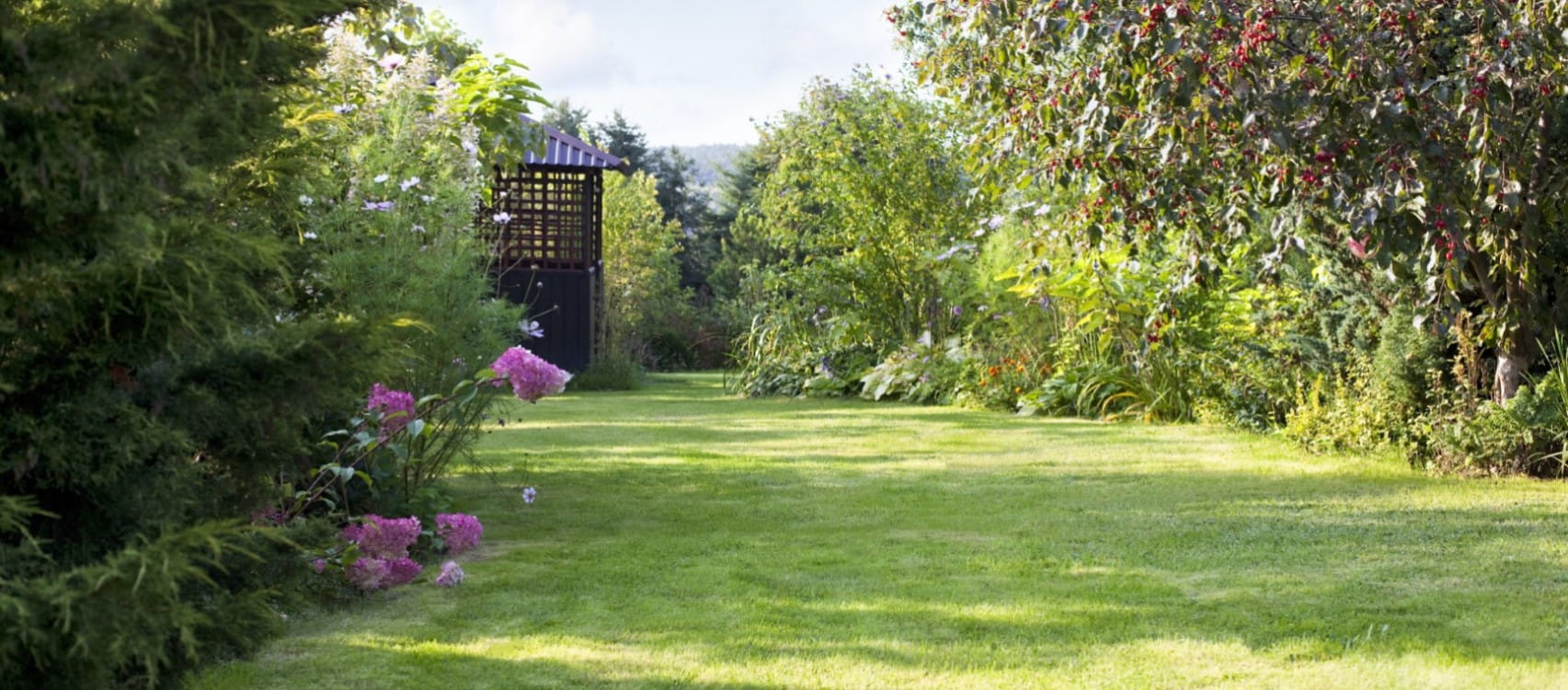 Frustrated with your long and narrow garden? Widen your horizons with these ideas