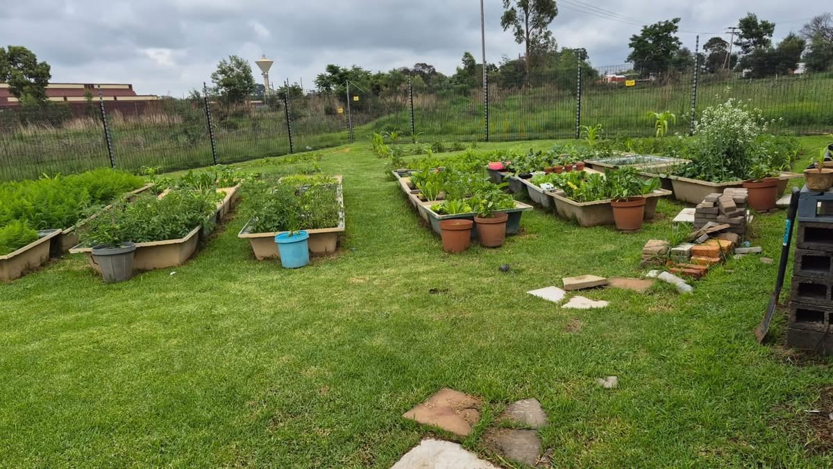 Growing More Than Just Vegetables at Midrand SPCA