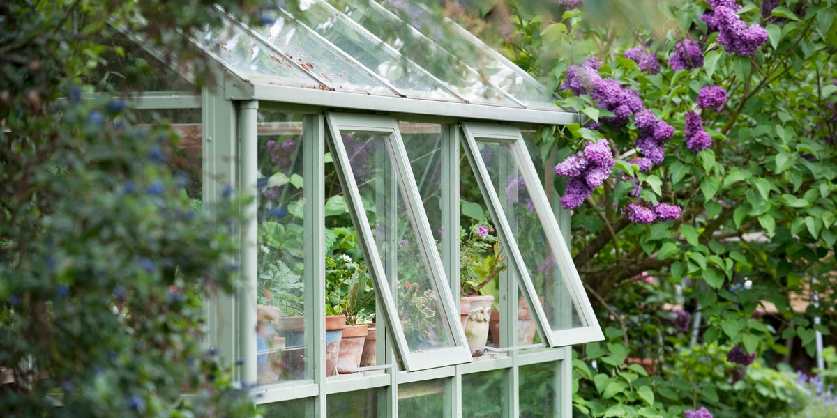 How To Clean And Maintain Your Greenhouse