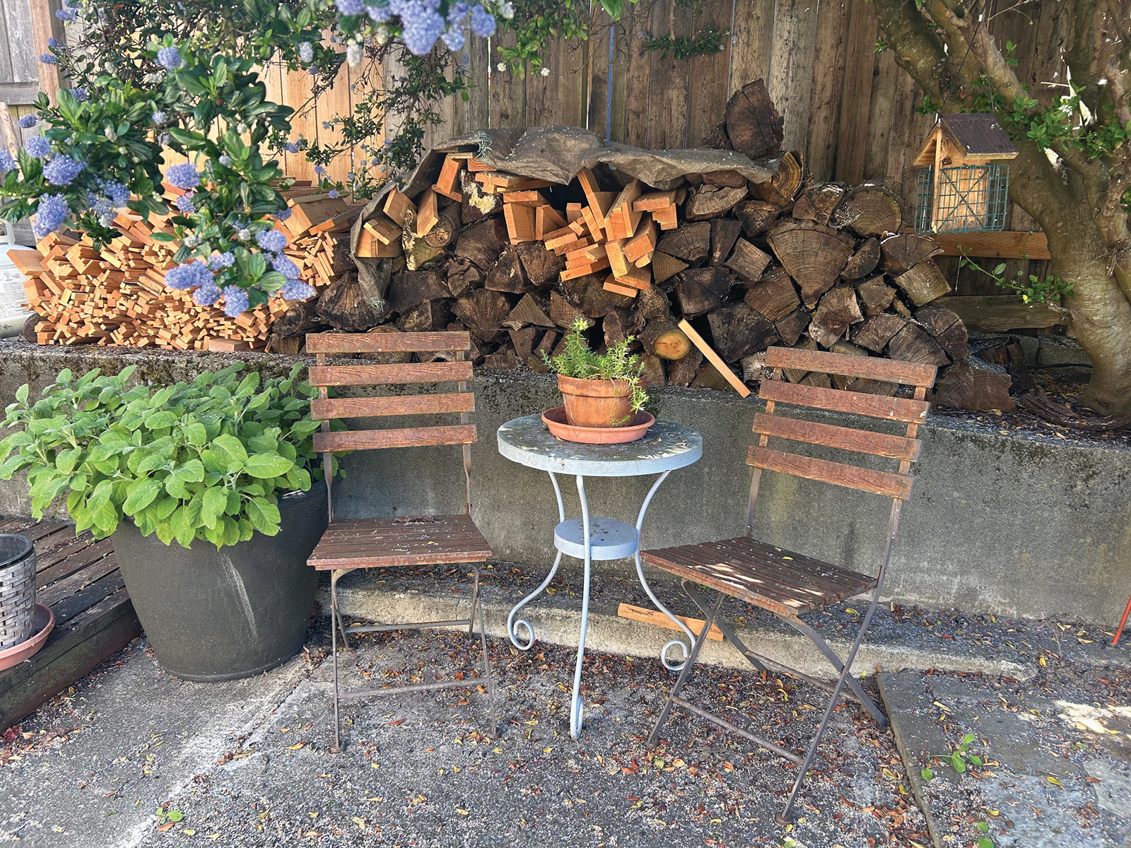 Space Saving Vegetable Garden Ideas – Mother Earth News