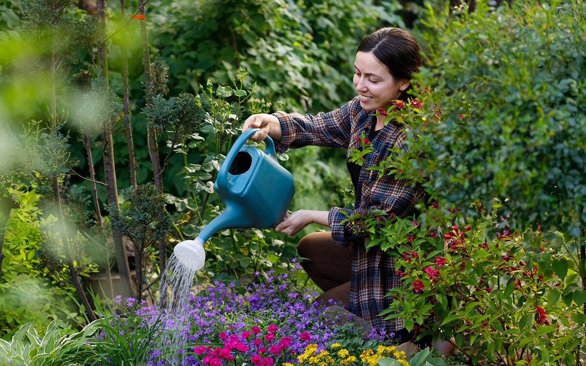 Gardening Advice for Beginners | The English Garden
