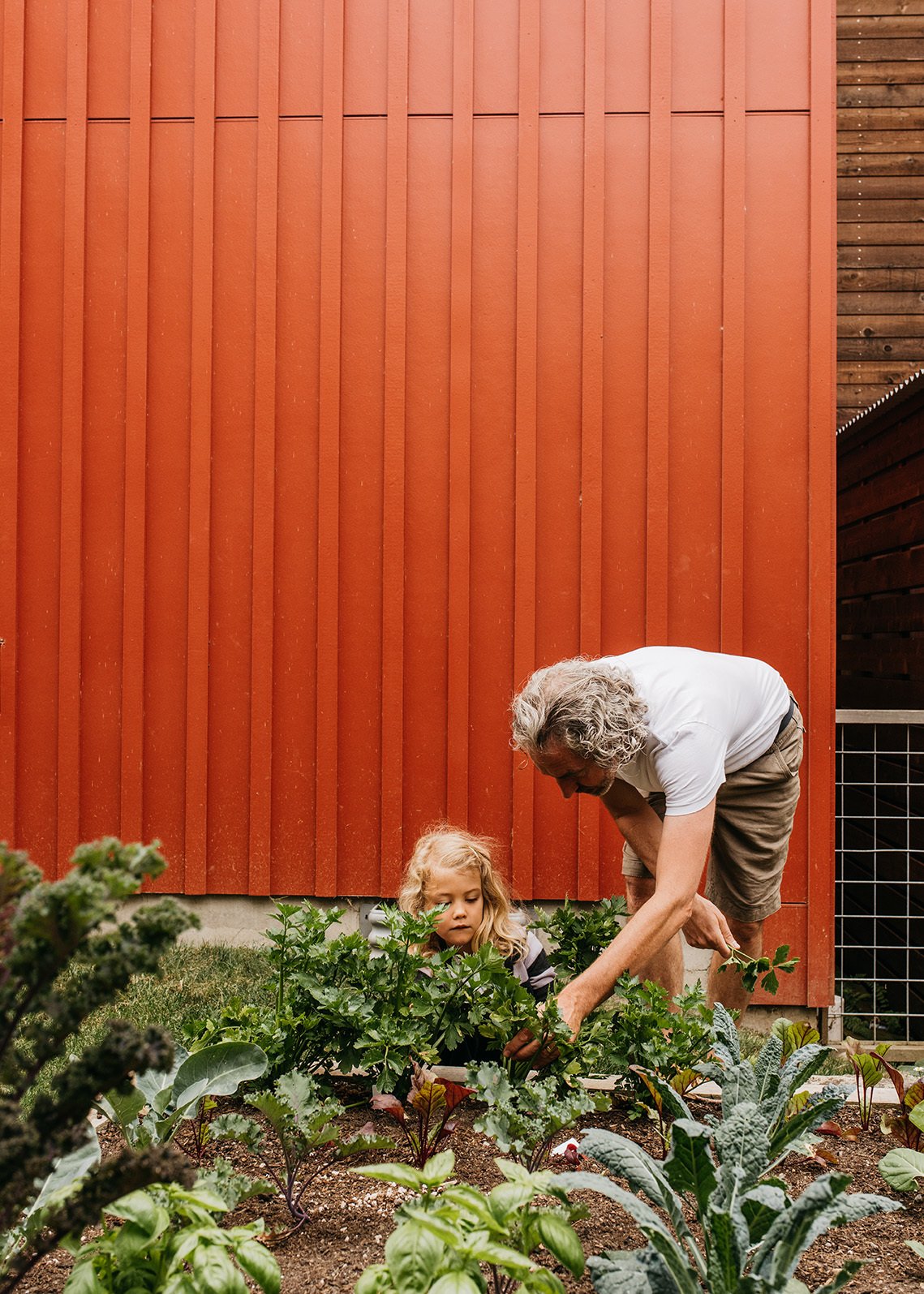 The Beginner’s Guide to Growing Your Own Vegetables
