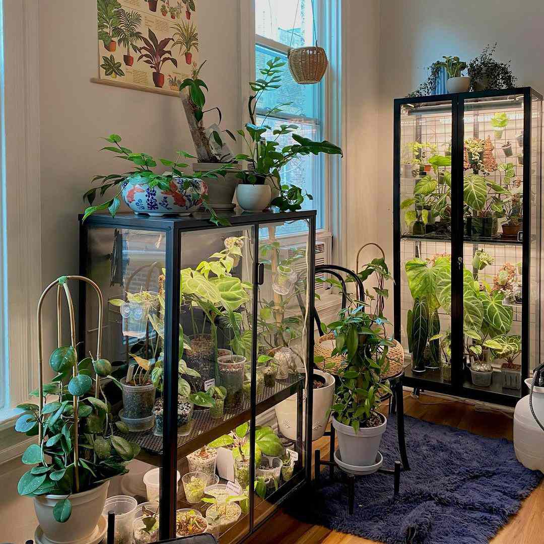 20 DIY Indoor Greenhouse Ideas