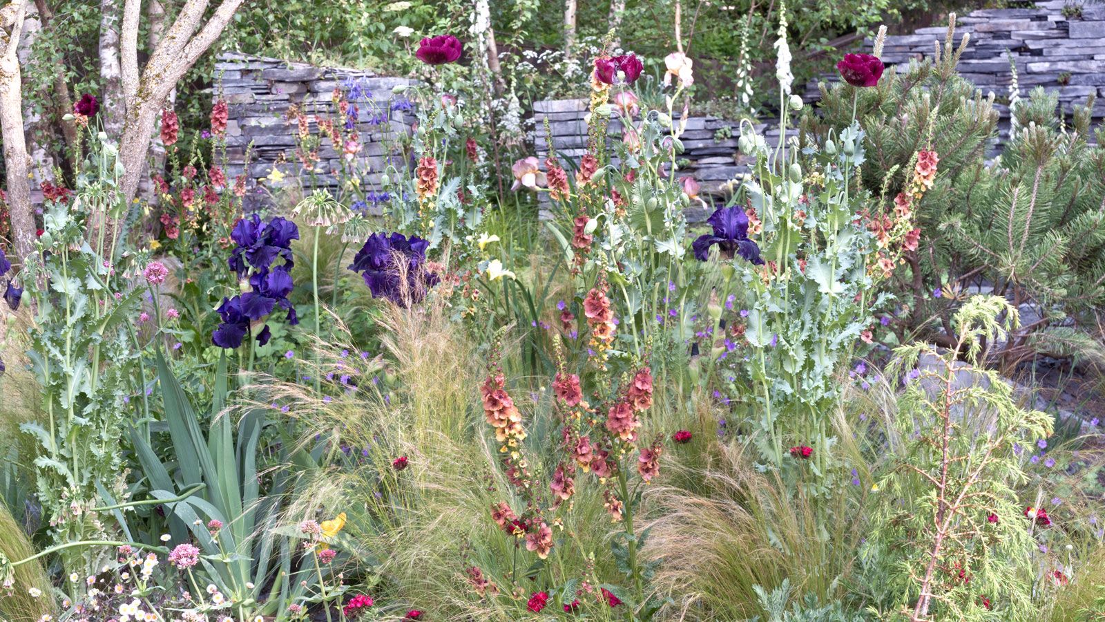 Landscaping with ornamental grasses – 6 inspirational ideas