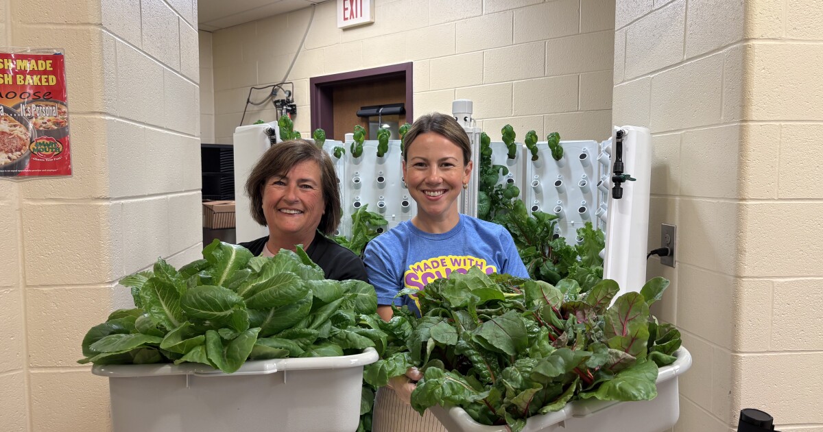 Lebanon schools’ new hydroponic garden brings fresh vegetables and opportunities