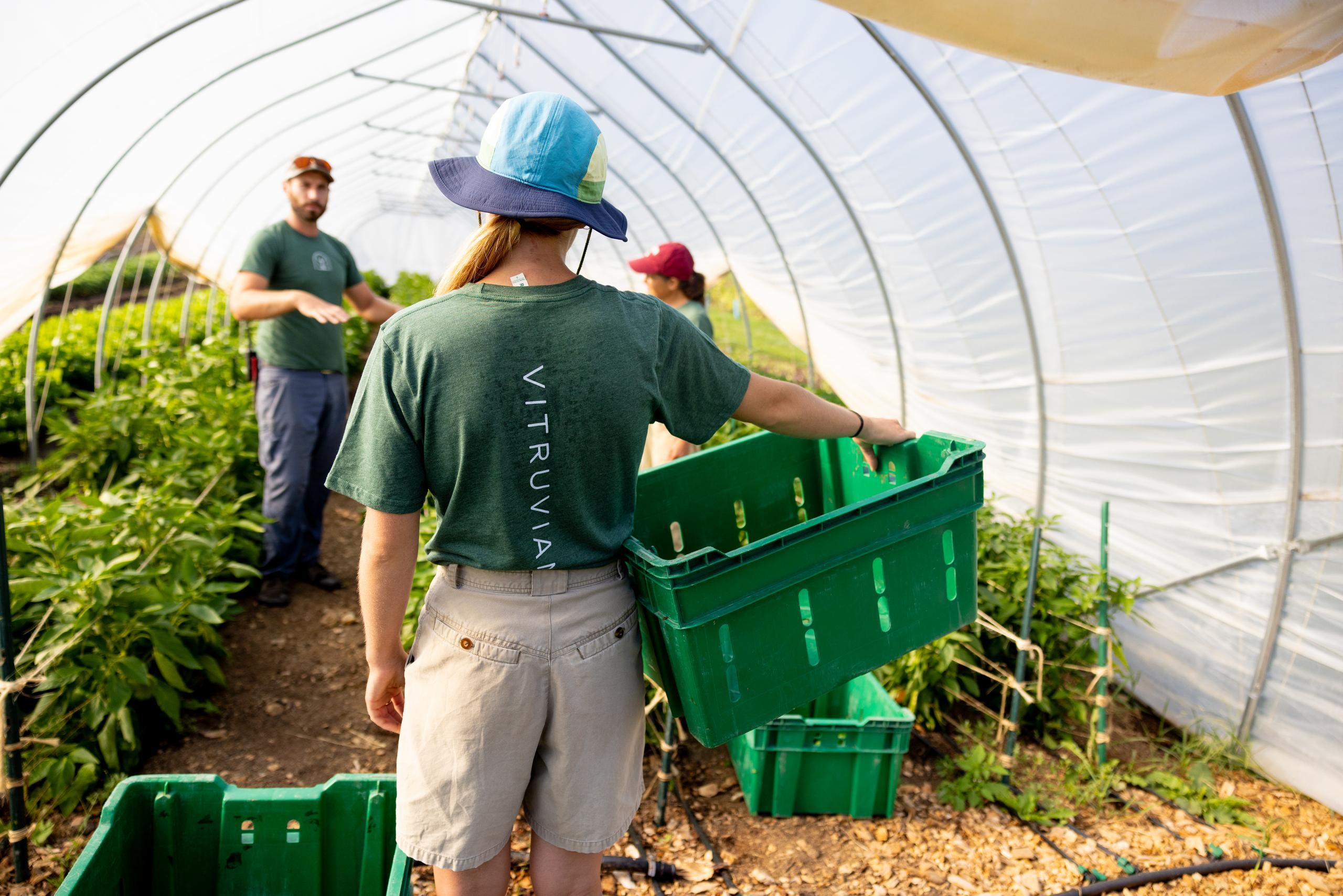 Community Comes First: How One Wisconsin Farm Is Growing More Than Vegetables