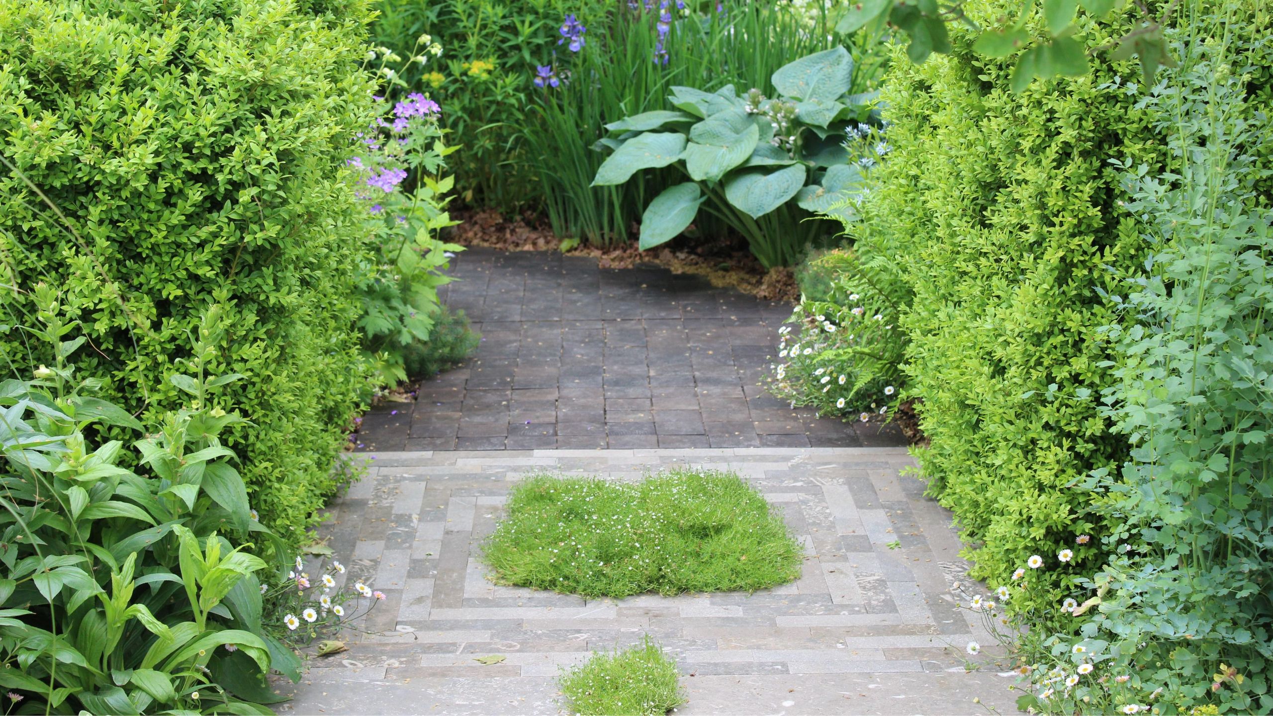 Cath Kidston’s patio garden is an oasis of herbs and flowers