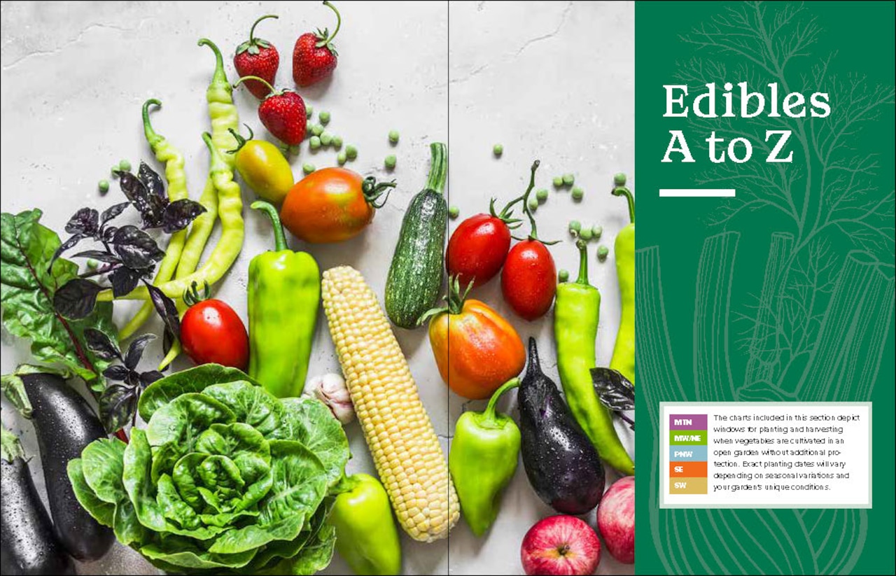 Garden book review: ‘The Beginner’s Guide to Growing Great Vegetables’