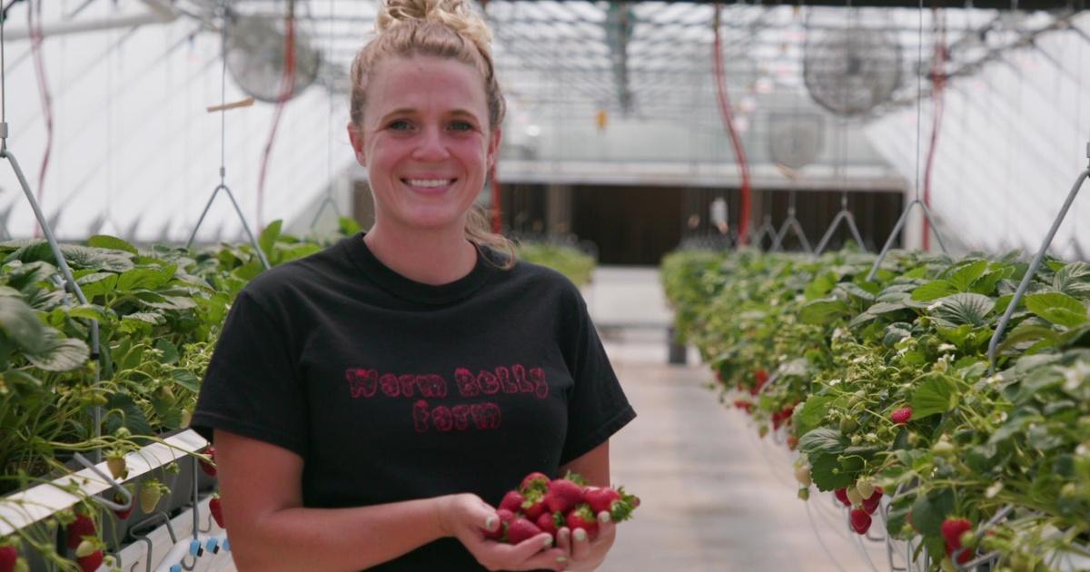 Wisconsin Life | From backyard garden to high-tech strawberry farm | Season 12 | Episode 2