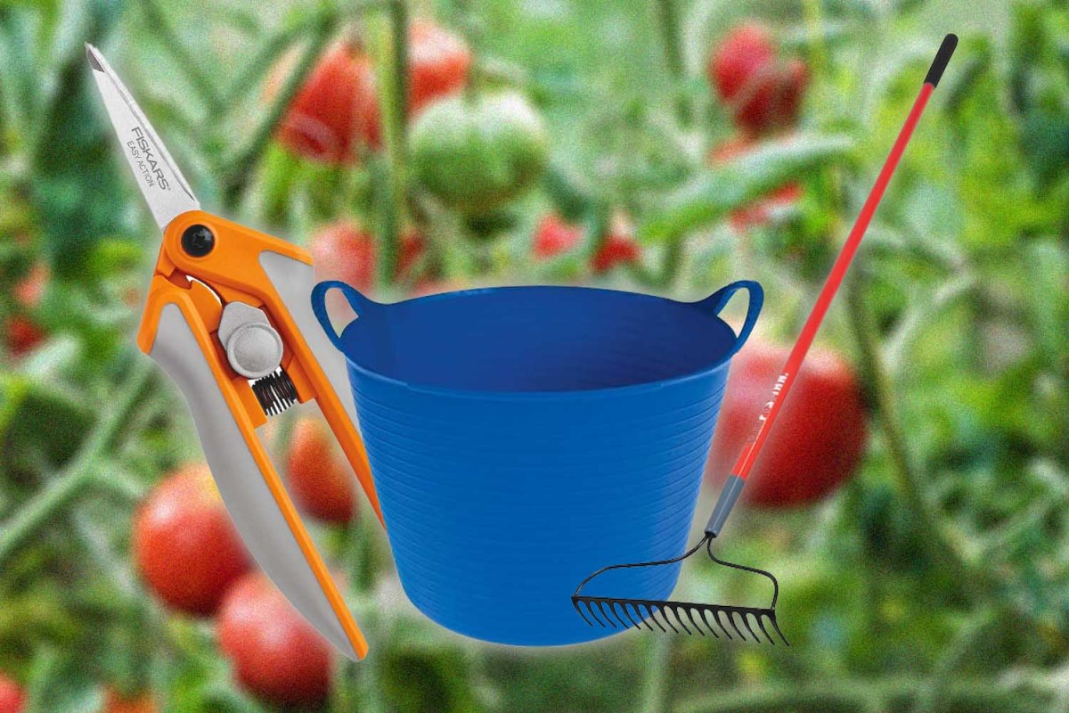 The Best Spring Gardening Tools for Novices