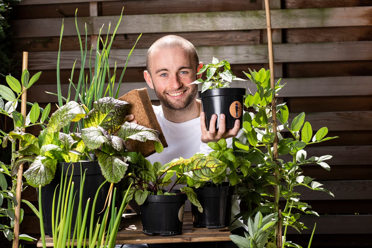 The best new grow your own veg kits for beginner urban gardeners