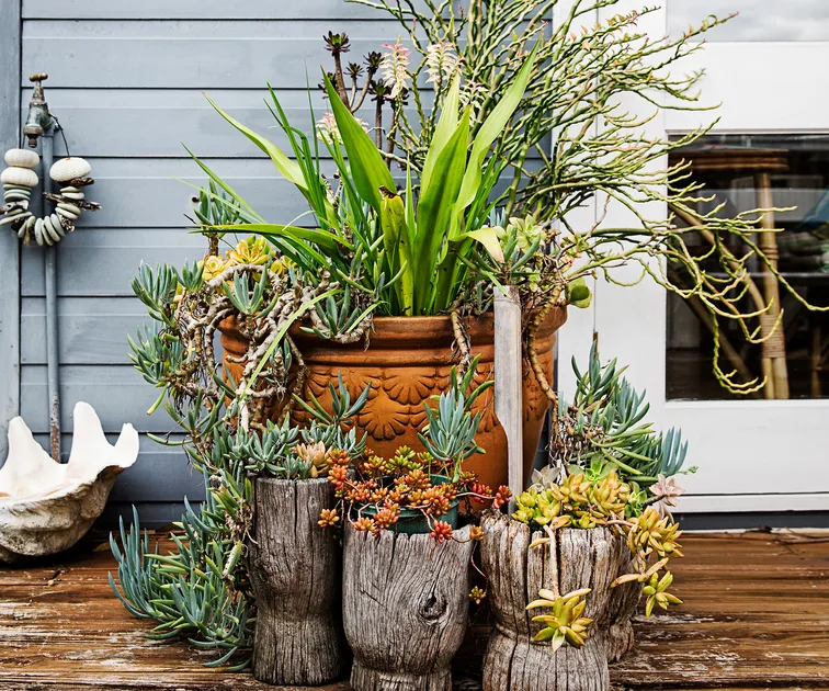 Tropical Gardening By The Beach