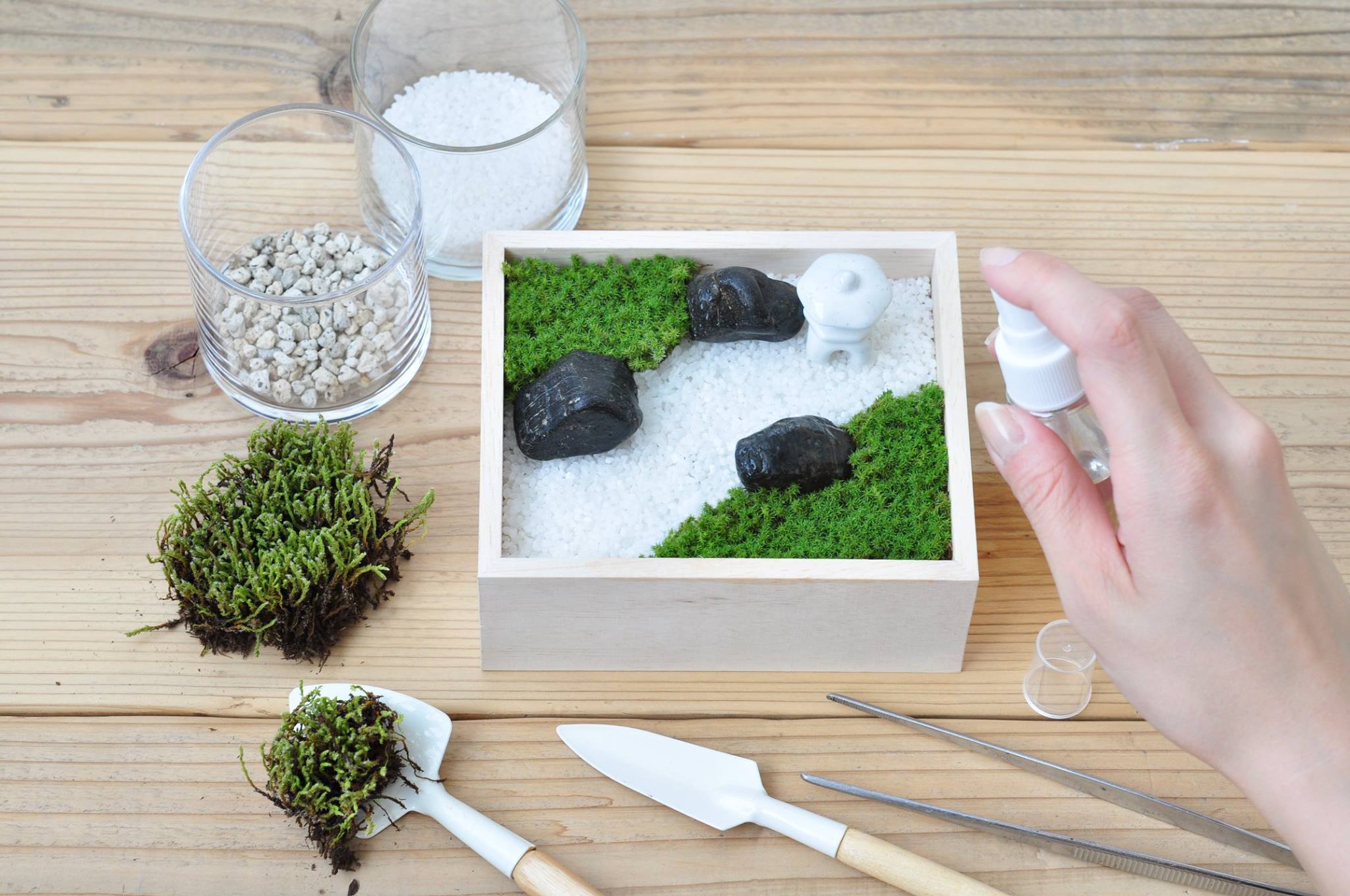 6 best indoor gardening and plant-growing kits for beginners