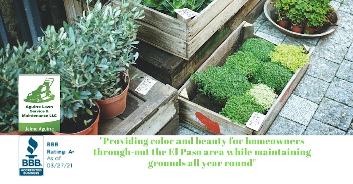 Aguirre Lawn Service Maintenance LLC