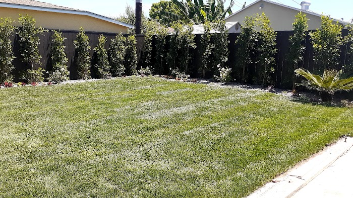 Supergreen Landscape