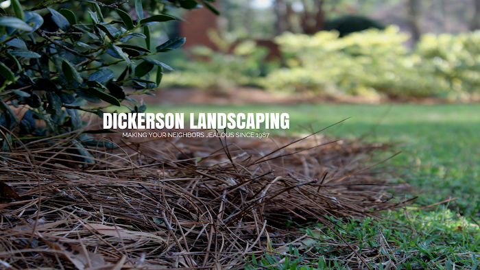 Dickerson Landscaping & Lawn Care | Tallahassee, FL