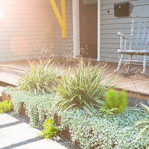 Yarrow Landscaping Design + Build