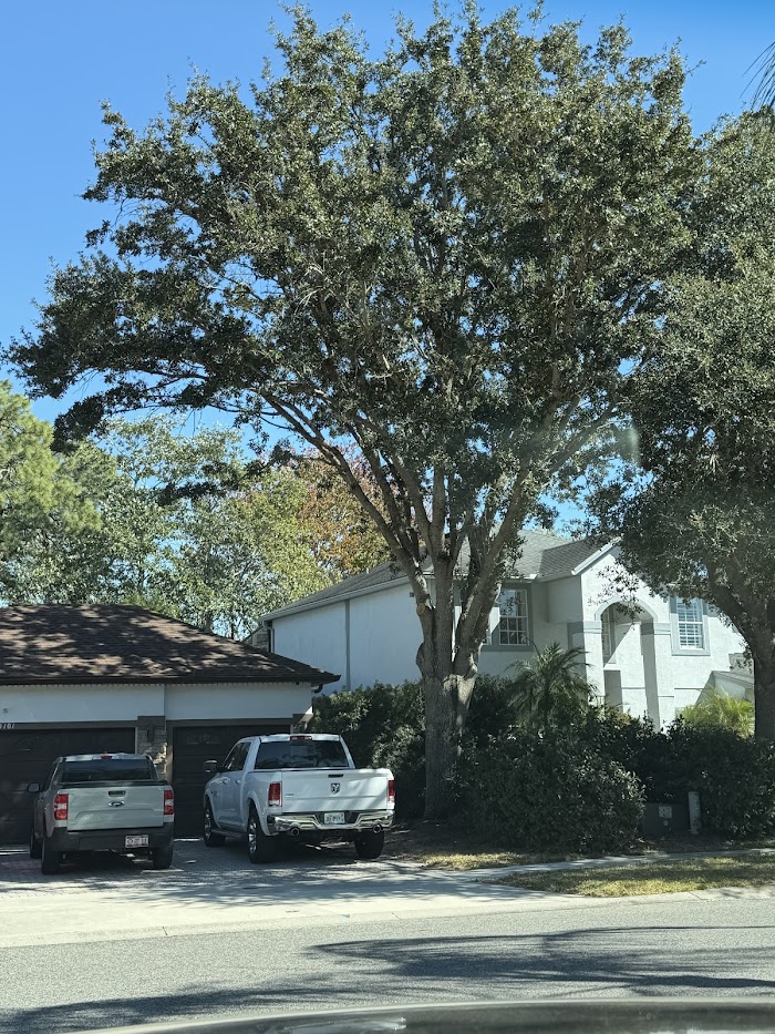 DeJesus Landscaping LLC