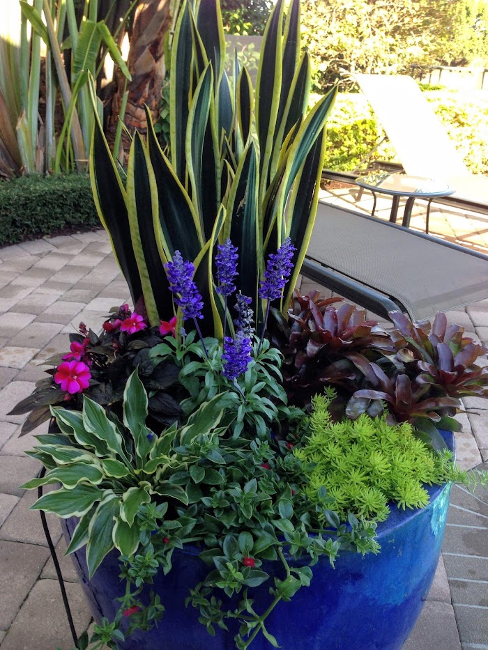 Jon the Gardener Landscape Design