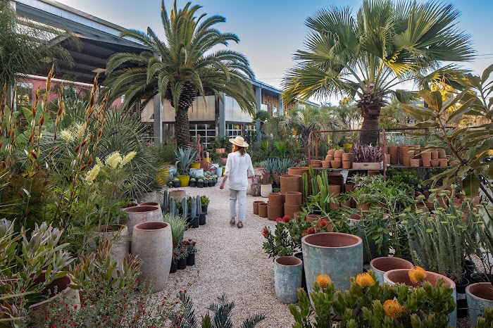 Flora Grubb Gardens Plant Nursery
