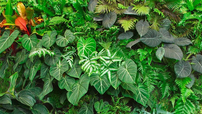 VERDE VERTICAL INC – Vertical Garden Miami