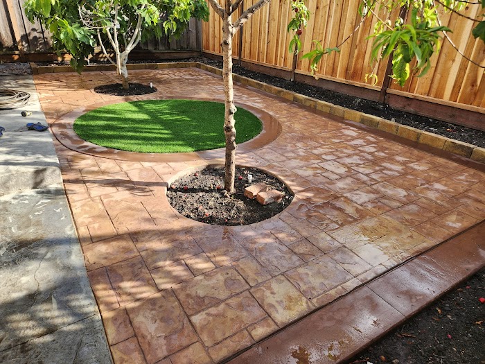 Summer Sun Landscape