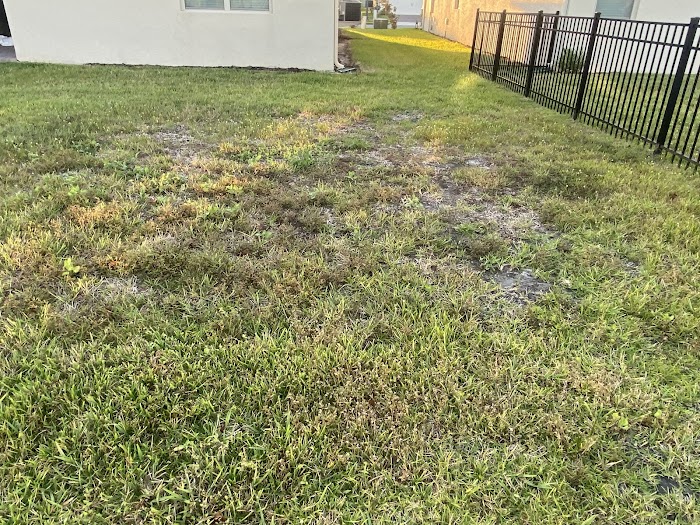 Exclusive Landscaping