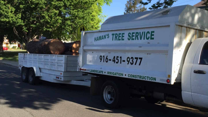 Haman Landscape and Tree Service