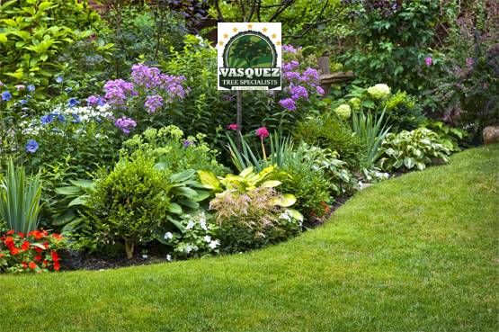 Vasquez Tree Specialists & Landscaping – Professional & Quality Landscaping Service and Affordable Hardscape Contractor