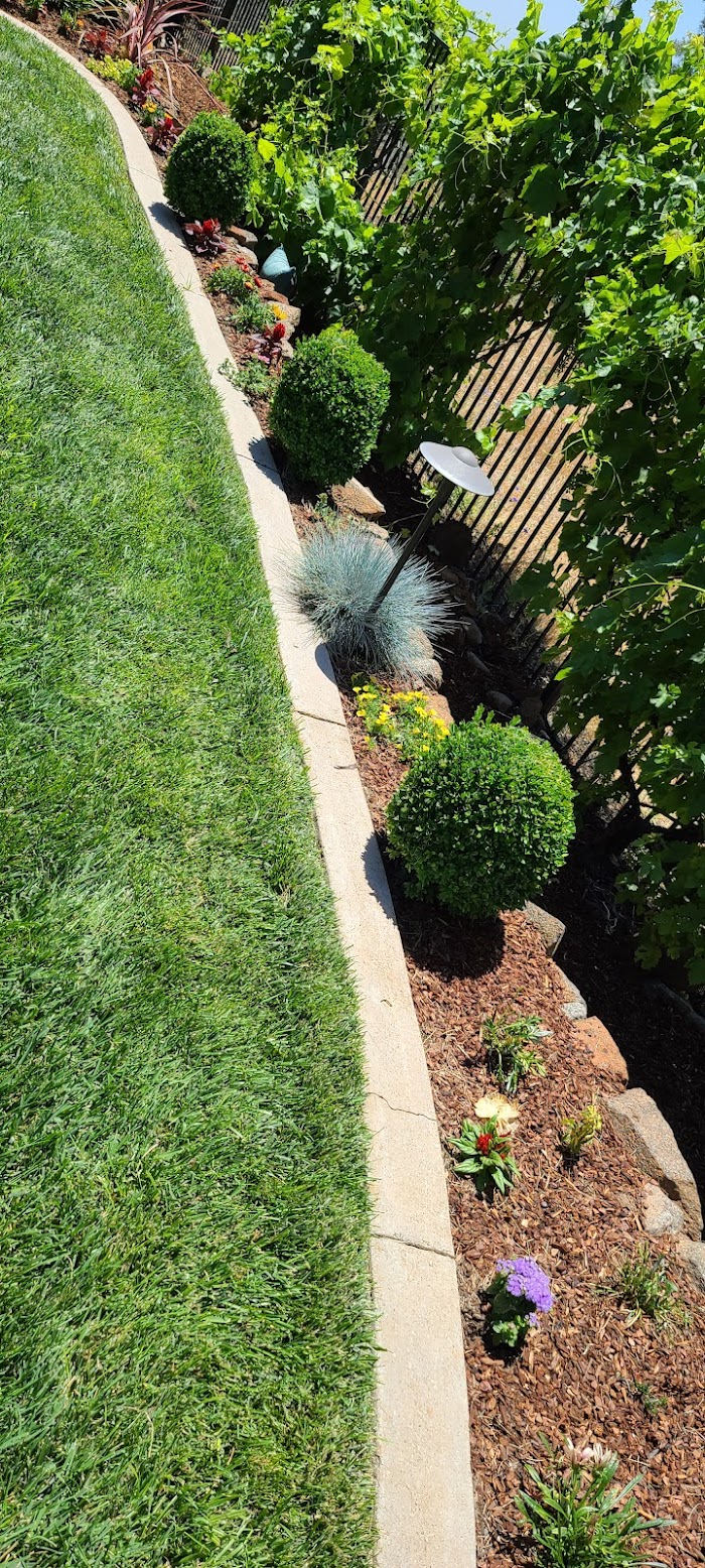 R & J Landscaping