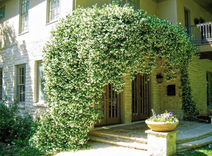 Kevin Wood Landscapes