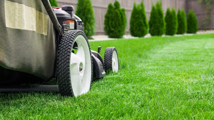 LawnStarter – Tallahassee