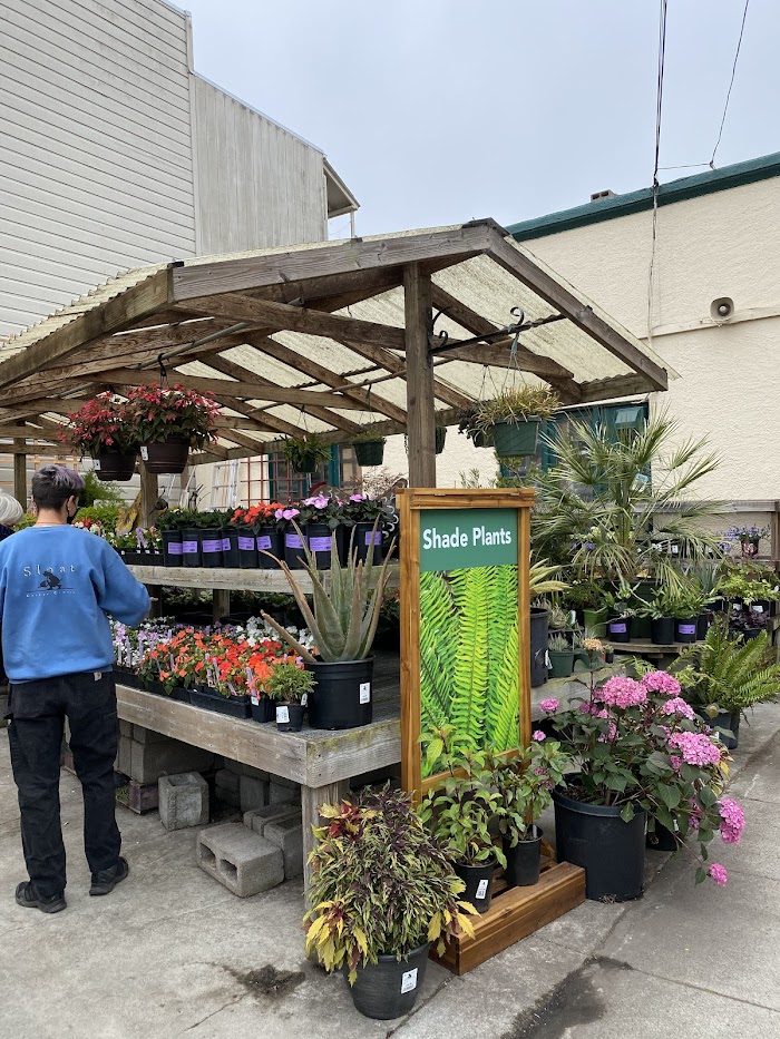 Sloat Garden Center