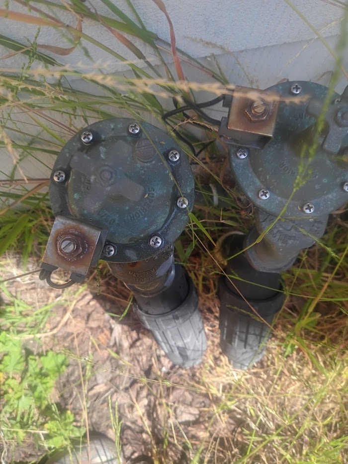 Forevergreen Landscape