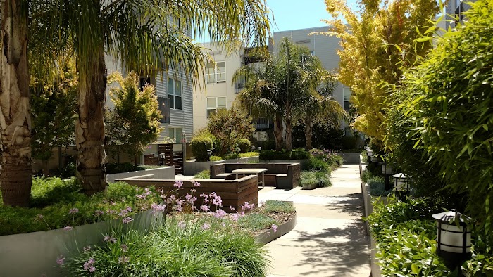 Mission Bay Landscaping Corporation