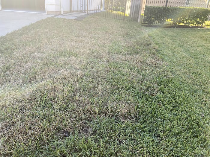 100% Tree & Lawn Care LLC