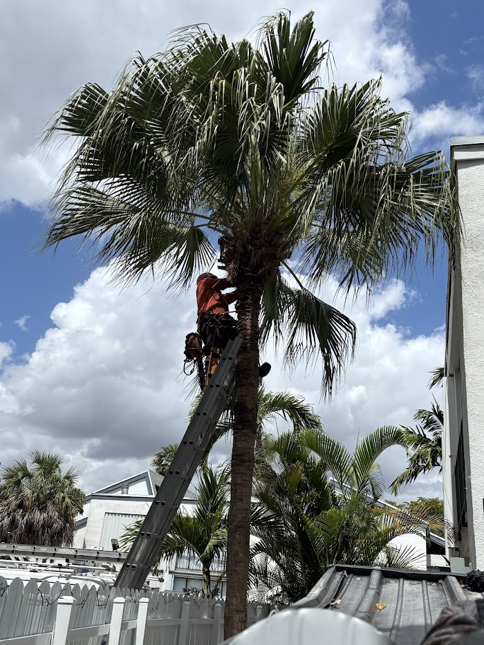 Sabino Pastor Landscaping