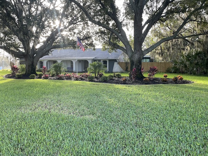 Tampa landscape solutions