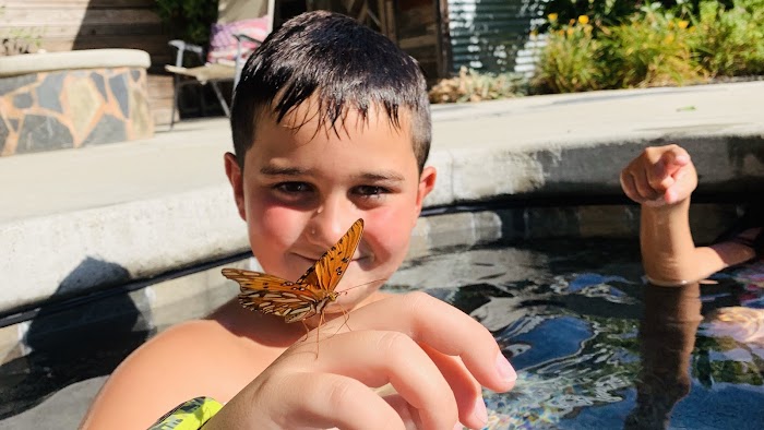 Sunfish Pool Service