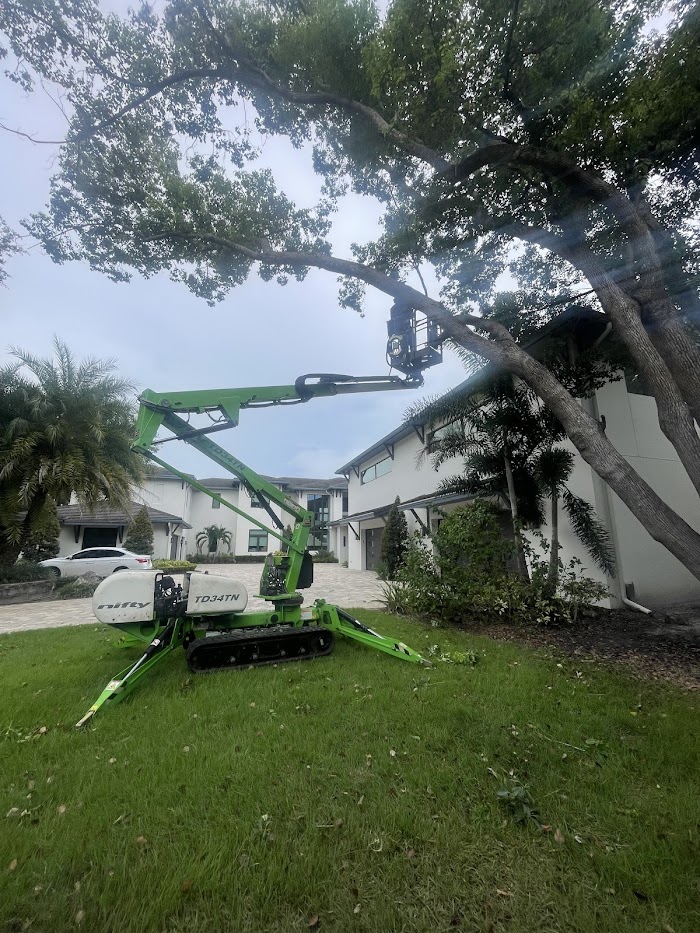 Albert & Ellis Landscaping & Tree Service