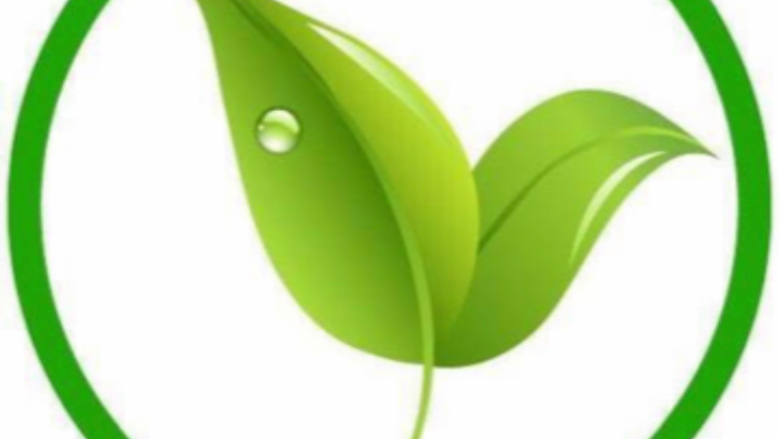 Orlando Evergreen Lawn & Landscaping