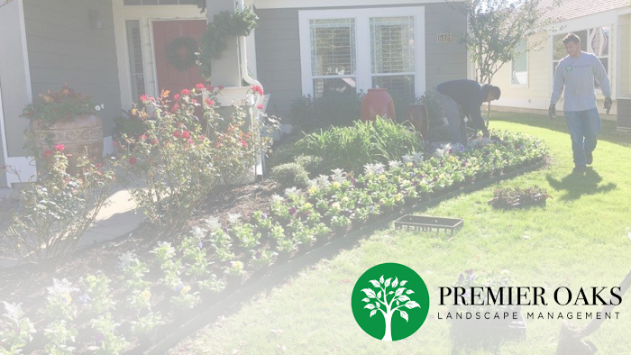 Premier Oaks Landscape Management