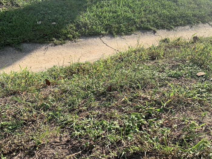 Green Acres Landscape Mangement