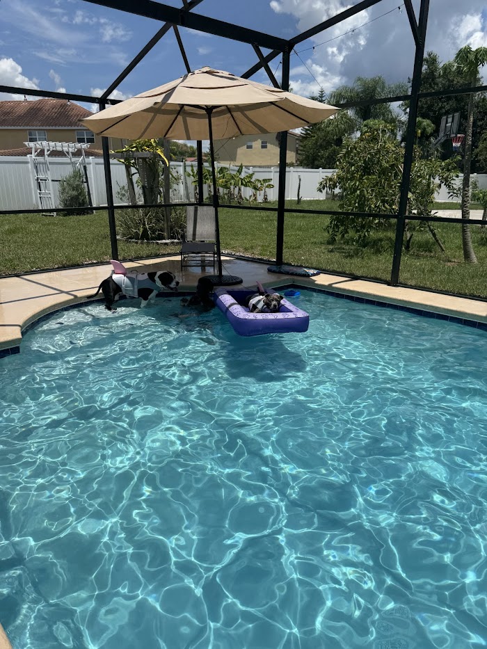 Royal Jett’s pool service