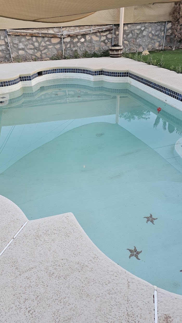 Azure Oasis Swimming Pools