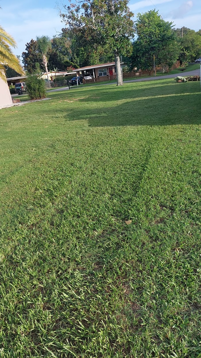 Jose & Jose Landscaping LLC